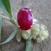 Ruby Ring - eco friendly sterling silver - size 8 1/4 to 9 - large natural ruby 16mm 10 carat