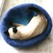 Cat Nap Cocoon / Cave / Bed / House / Vessel - Hand Felted Wool - Crisp Contemporary Design - READY TO SHIP Teal to Blue Bubble