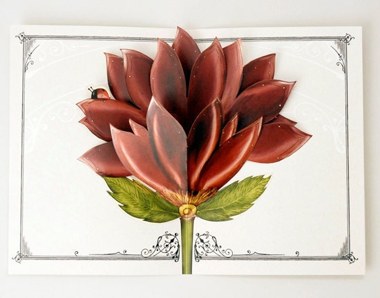 Red Flower Pop Up Card