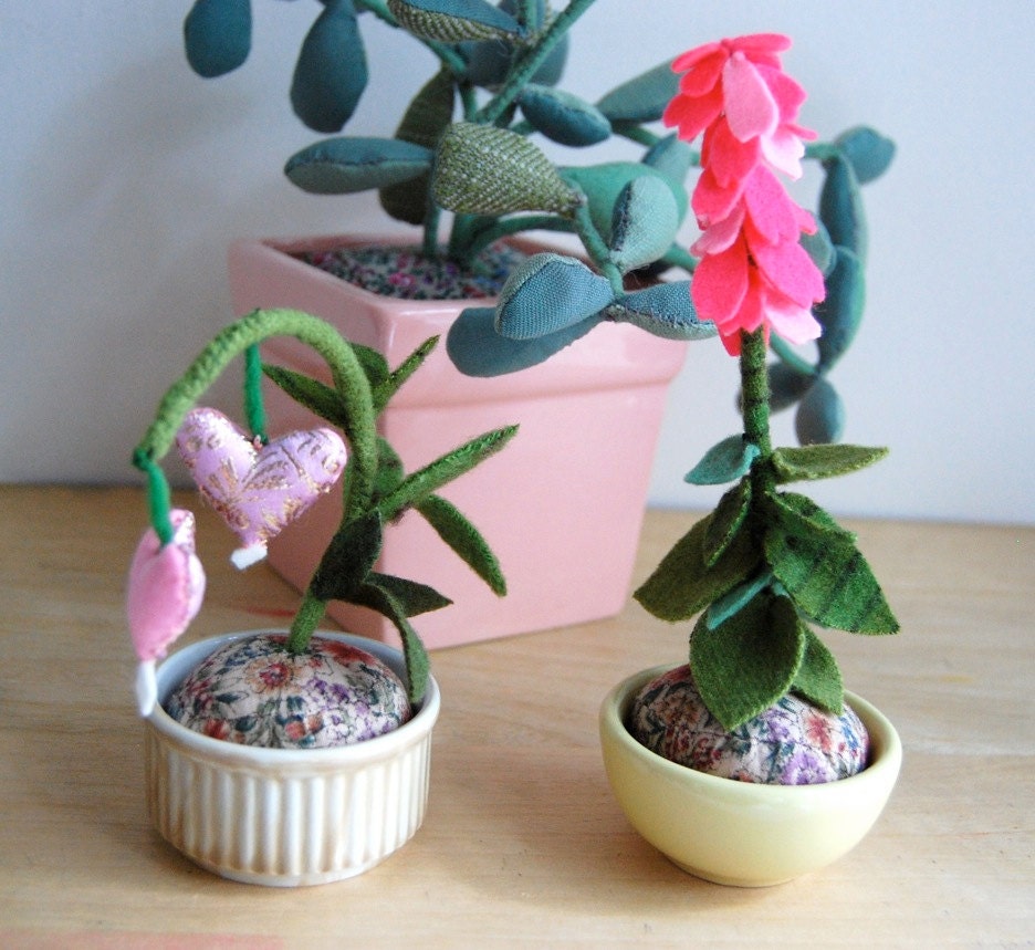 SALE Pink Petal Plant