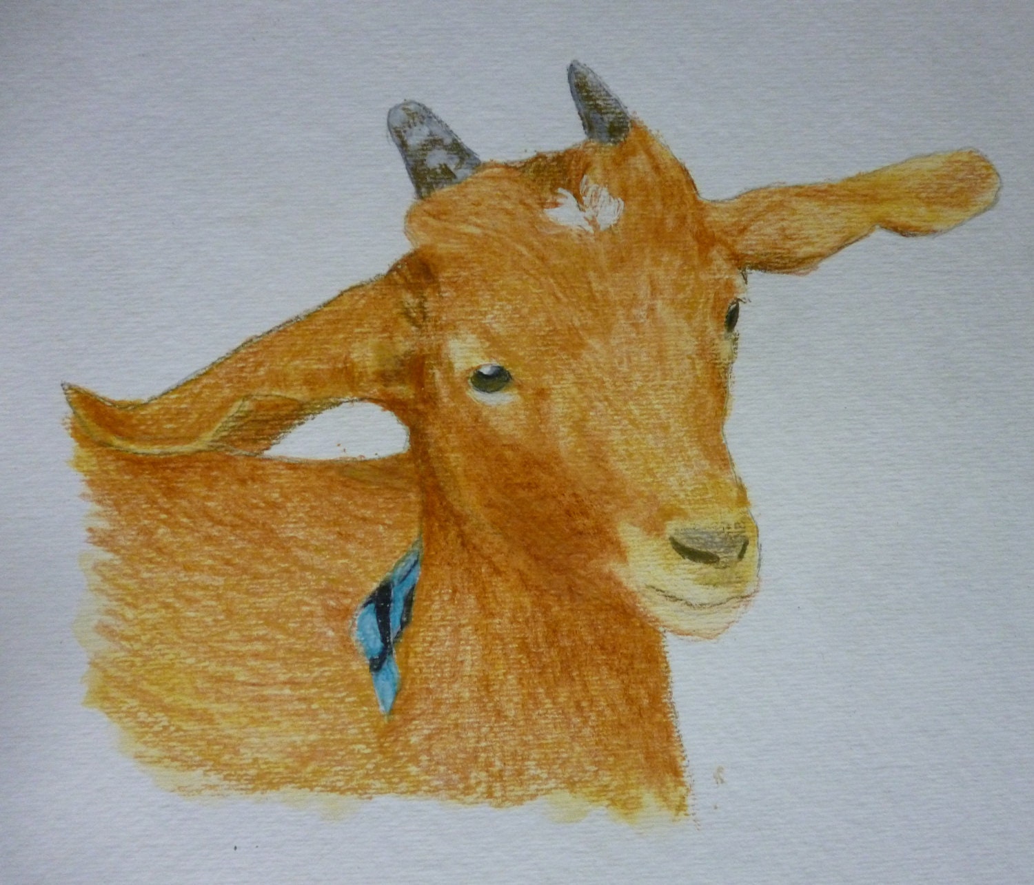 Cute Goat Pet Portrait 5 x 7 inch Watercolor You Provide the Picture or Idea Made to Order by Pigatopia