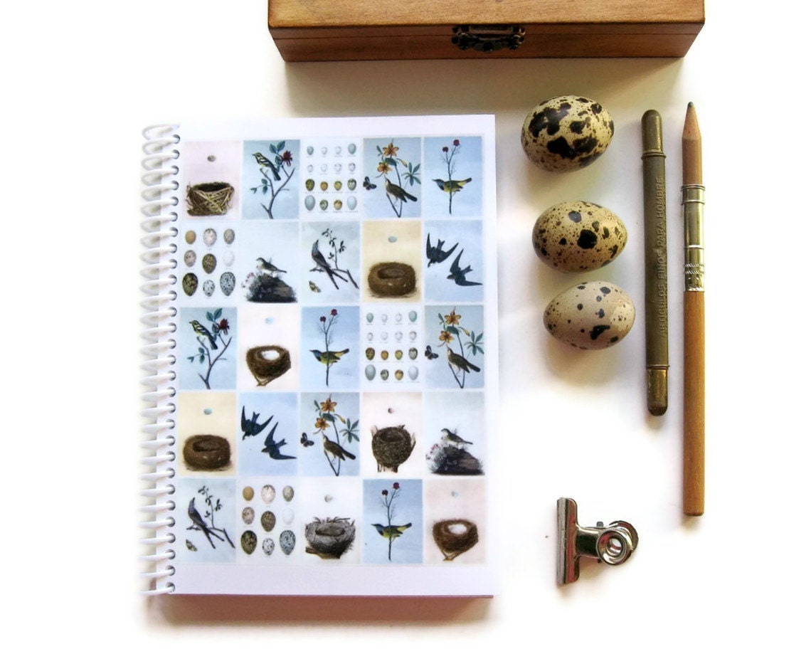 Birds, Eggs and Nests - Notebook Spiral Bound (4 x 6)