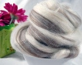 Blueface Swirl Top - blend of white and brown wools (4 oz or 115 grams)