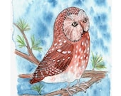 Print of Original Watercolor Brown Spotted Owl