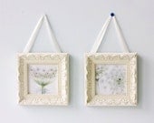 Framed Queen Anne's Lace Photographs, Floral  Wall Decor, Soft Focus Shabby Chic Fine Art Prints, White Flowers