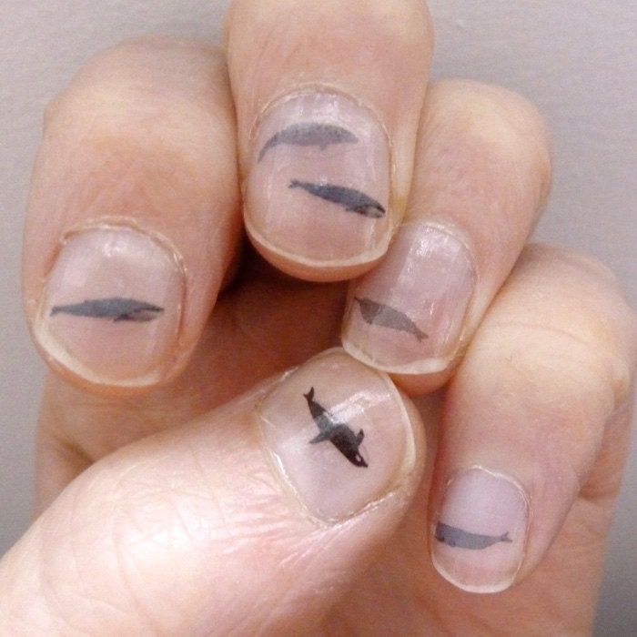 whale nail transfers
