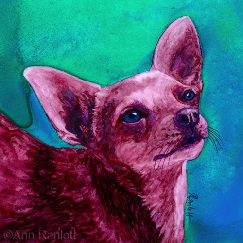 Chihuahua - Original Watercolor Painting, Framed - Ranlett A4C
