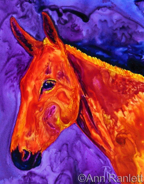 Mule, Equine - Original Watercolor Painting, Framed - Ranlett A4C