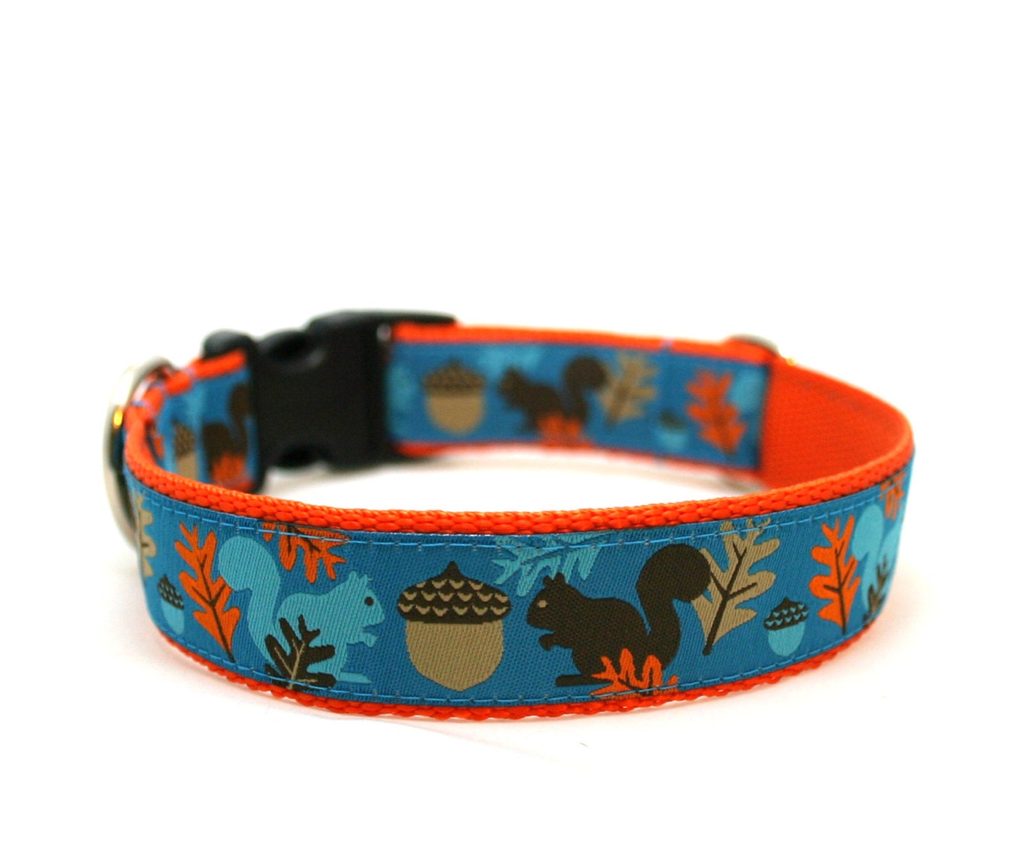 1" dog collar Squirrels are Nuts buckle or martingale collar