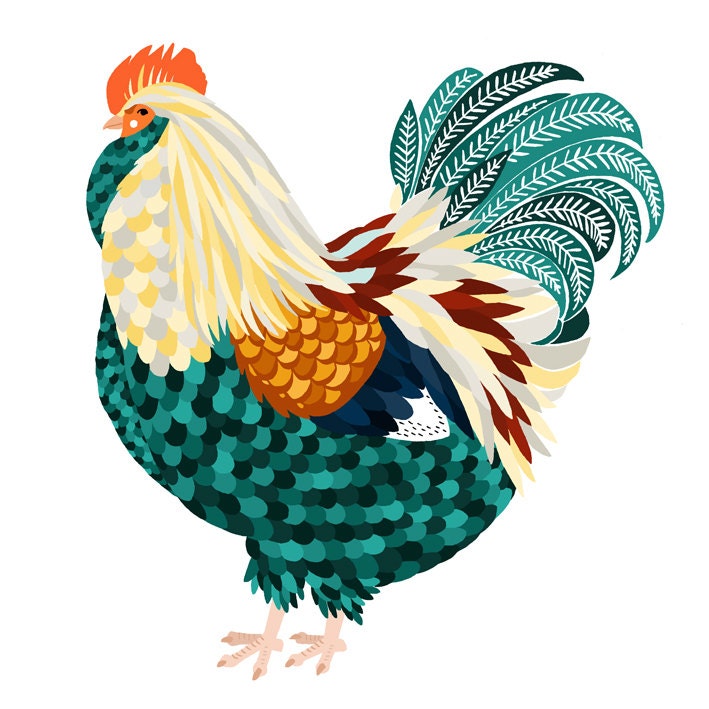 The Plump Bird - Chicken Print - A3