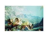 Big Horn Sheep . Flora and Fauna . Limited Edition . 8x10 Print