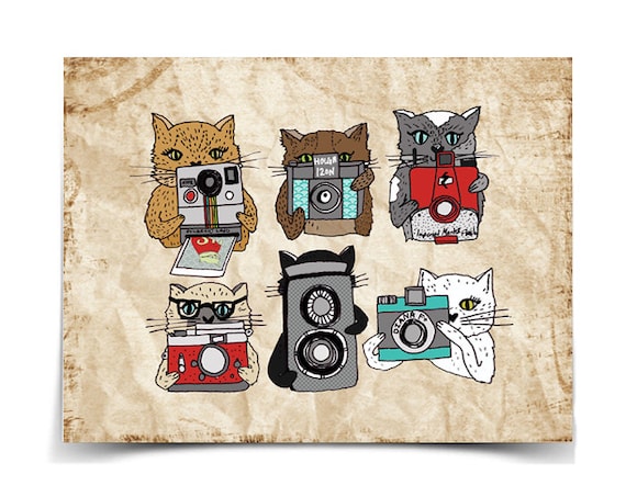 Cats Love Cameras - 8.5 x 11 Poster