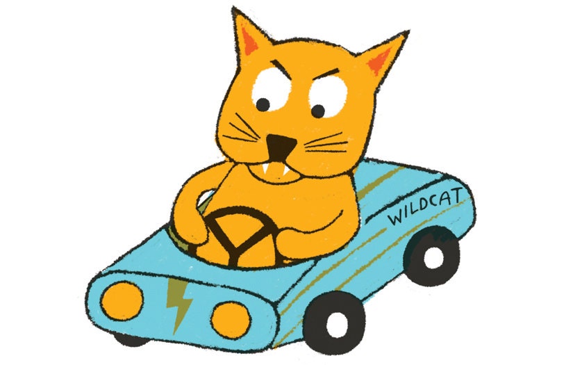 WILD CAT: 4x6inch, 5 color screenprint
