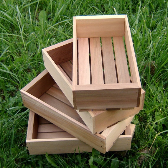 Wood Seed Starting Trays, Medium