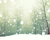 Landscape photography, snow, forest, nature photography, bare trees, white snow, neutrals, snow flakes, moss green 8x10