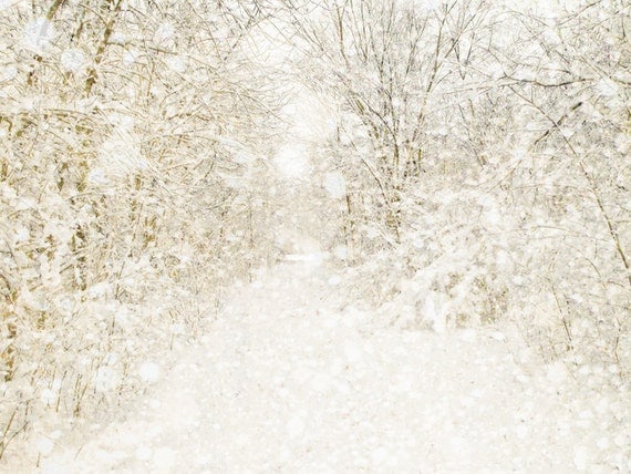 30% OFF Winter decor, snow, white wedding, winter decor, neutrals, tree photo, snow, forest, woodland, snowflake - Nowhere 5x7