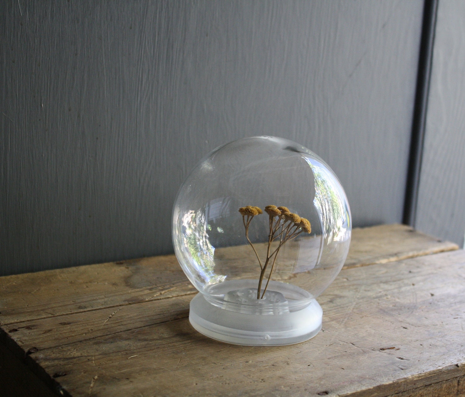 vintage glass display globe dome