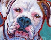 White BOXER Dog Art Original Portrait Painting 6x6 by Lynn Culp