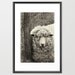 Sheep Photography, Black and White Print, Monochromatic art, Animal Photograph, nature print, wall art - 8x12