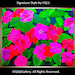 Original Oil Painting "Pink"  by QiQiGallery