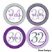 12 Weekly Pregnancy Mama-to-be Maternity Waterproof Glossy Stickers  - Monthly stickers available - Design W005-02