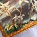 Vintage Reuge Hand Painted Musical Box