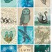 Blue Bird Tags - Digital Download Set of 12 Sweet William illustrative tags