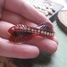 lucite tortiose shell rhinestone leave barrette vintage antique 1950s by solo usa