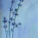 Lavender IV - Mixed Media Original Painting - String and Acrylics - Framed - Great New Home Gift