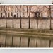 Paris Photo, Sunrise on the Seine, Paris Photography, Tree Photograph, Paris Decor