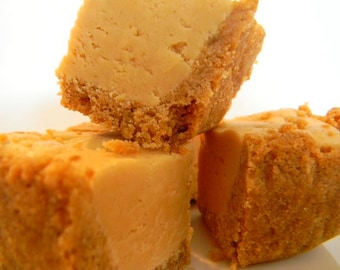 Julie's Fudge - NUTTER BUTTER PIE w/Nutter Butter Cookie Crust & Peanut Butter Fudge Filling - 12 Pieces (Over 1 Pound)
