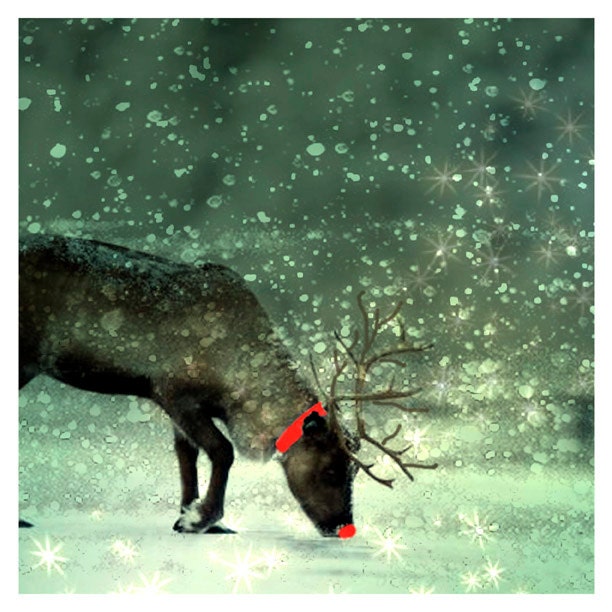 Holiday Photography, reindeer, snow, pale green, Red Nose Reindeer, animal fine art print 8x8
