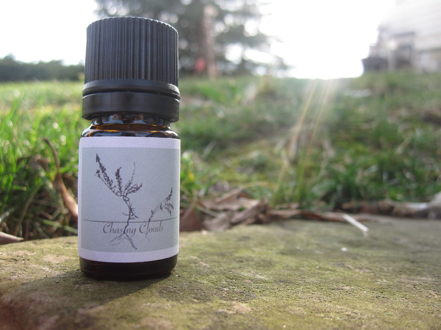 Anise Star Essential Oil 5ml(1/6oz)