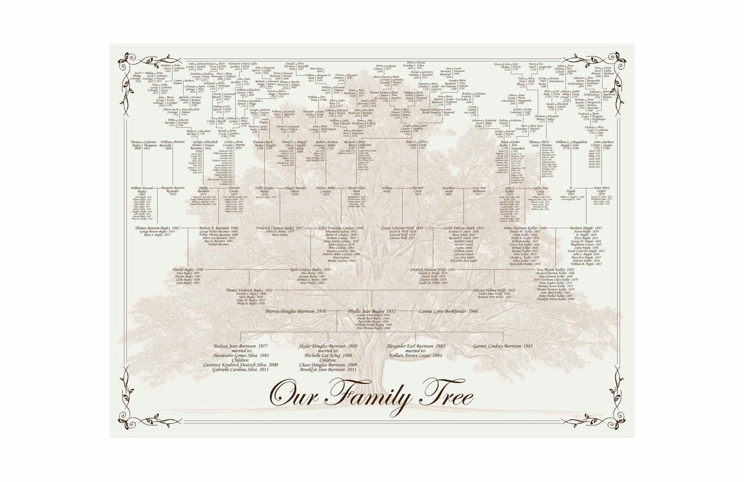 Family Tree - Pedigree Chart