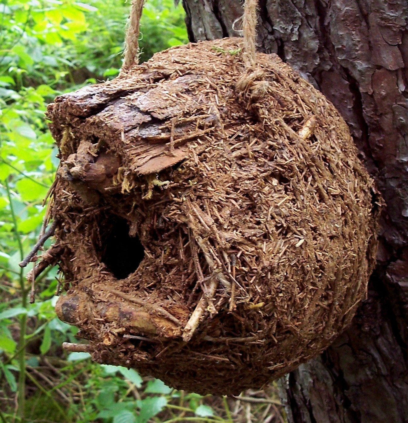 Birdhouse with Free shipping, bearpawrustics original