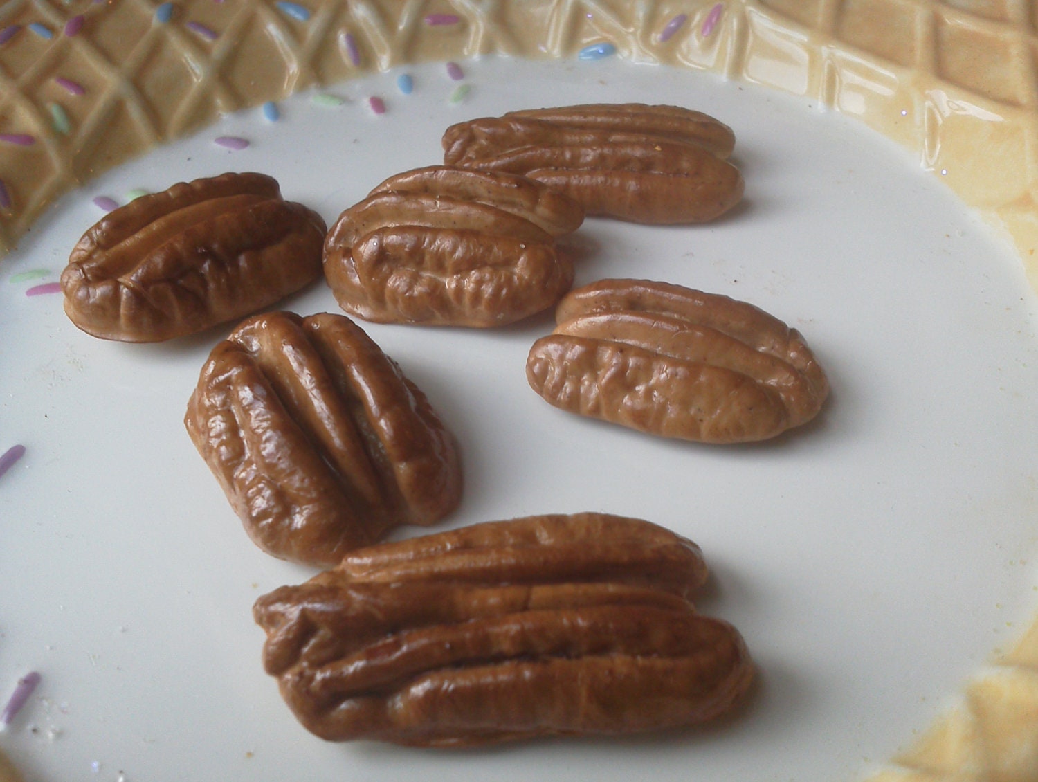 Pecan magnets 6pc Free shipping USA only