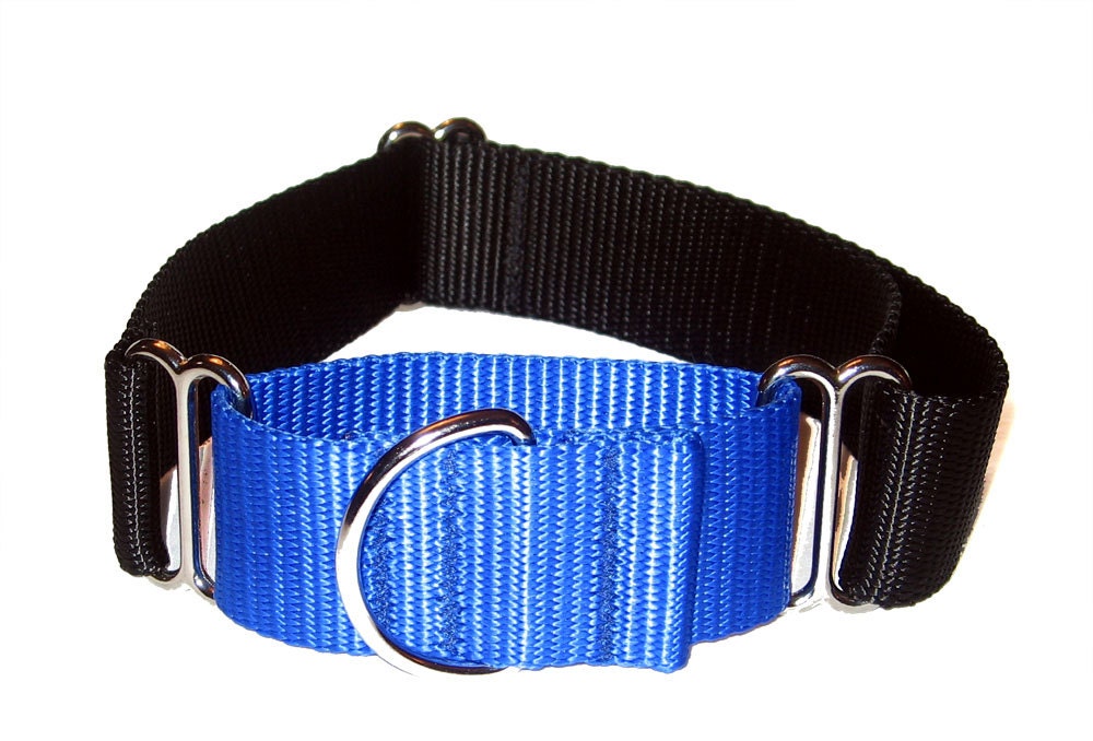 Solid Nylon Martingale Dog Collar 1.5" Martingale Choose Your Color