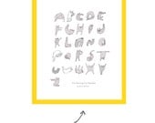 Cat Alphabet- Typography