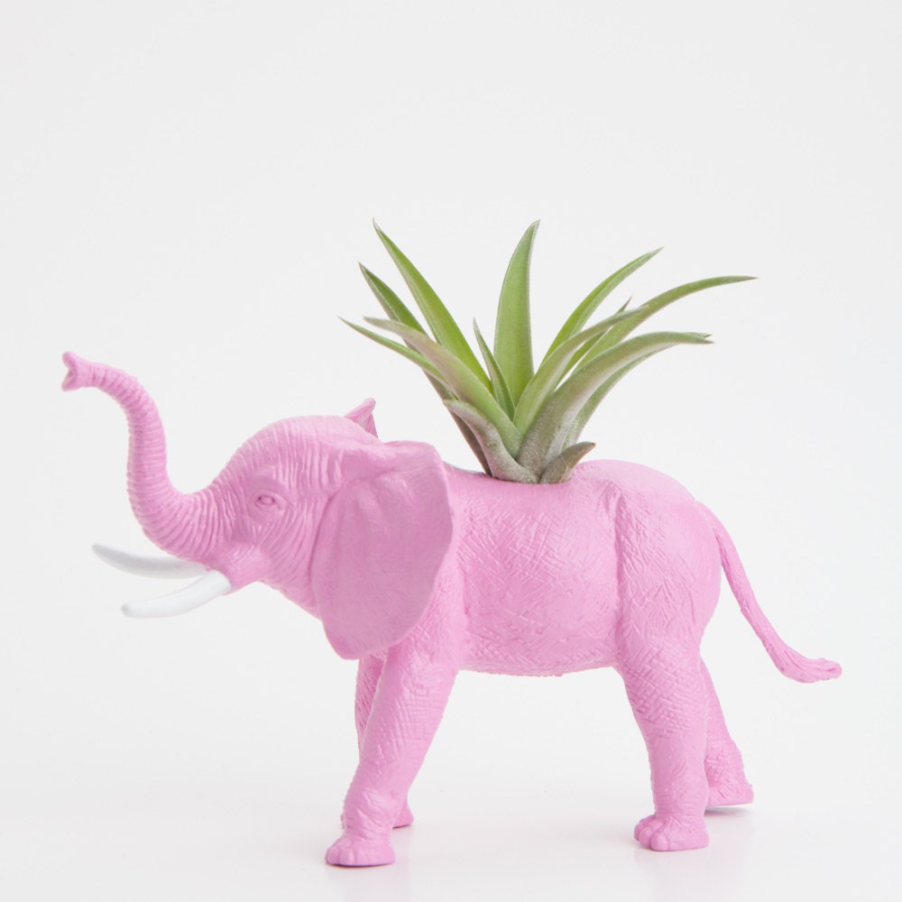 Elephant Planter with Air Plant Room Decor, College Dorm Ornament, Plants and Edibles