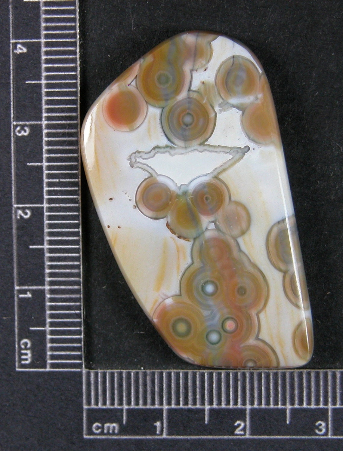 Ocean Jasper Cabochon Hand Cut  Gladys  JO217