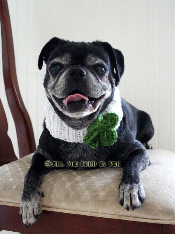 Lucky Clover Knit Collar for Dogs
