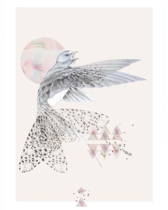 Blue Swallow in Flight    A3 SIZE