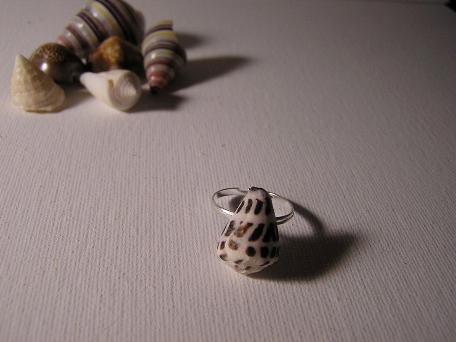 Hebrew Cone Shell Ring