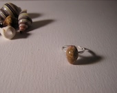 Honey Cowrie Shell Ring
