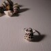 Hebrew Cone Shell Ring
