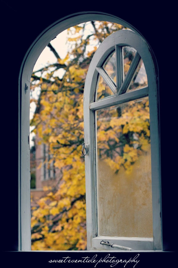 autumn winter window vertical fine art photograph yellow tree 8x12 print