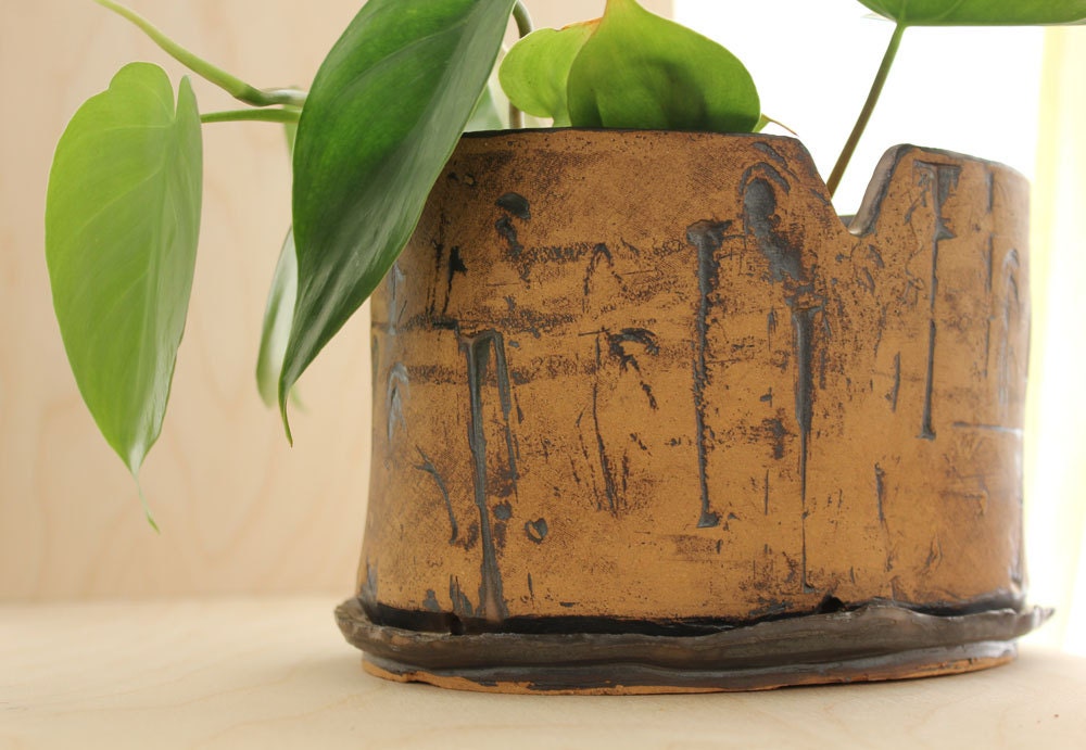 Golden Bronze on Natural Clay Planter