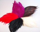 Hackle Feather Pads Red Fuscia Brown Black Eggshell