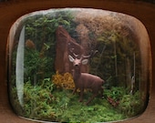 Vintage Diorama Scene in Log With Deer and Moss From Nowvintage on Etsy