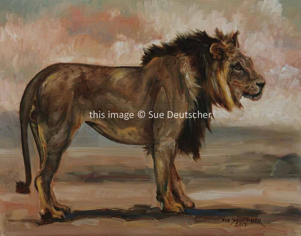 Lion African wild cat feline wildlife art - 8x10 print from painting, signed and matted